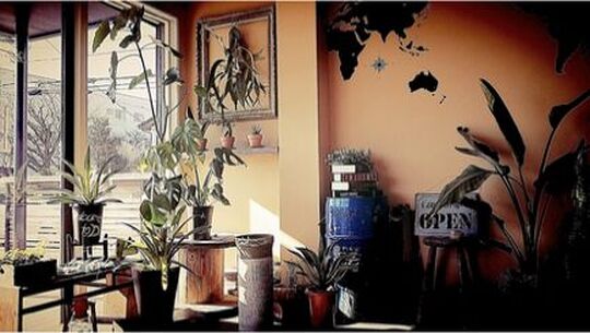 【雀宮】≪20時までに退勤可能≫≪2年でデビュー可≫≪土日休みも相談可能≫≪社会保険完備≫安心して永く働ける環境！頑張り次第で早くスタイリストになり、稼ぐことも可能ですよ！“Hair design D.（ヘアーデザインディードット）”からアシスタント（美容師）の求人☆★