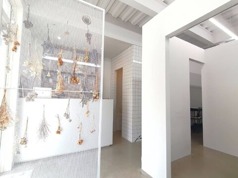 【寺田町】≪完全週休2日制≫≪有給休暇あり≫≪営業中レッスン可能≫≪20時迄に退勤OK≫お一人おひとりのカウンセリングに力を入れており、オーガニック商材でヘアケアーやデザインカラーにこだわりがあるサロンです！「chico hair（チコヘアー）」からアシスタント（美容師）の求人☆★