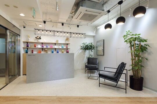 【心斎橋】女性専用サロン！髪質改善や酸性ストレート、トリートメントが得意な大人気サロン！インスタで人気のスタイリスト在籍！美髪を極めたい方、インスタ集客を成功させたい方大募集！「The Ect 心斎橋本店（ジエクトシンサイバシホンテン）」からスタイリスト（美容師）の求人☆☆