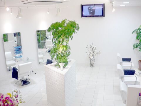 【金剛】≪完全週休2日制≫≪有給休暇あり≫≪社会保険完備≫≪住宅補助あり≫ホスピタリティを大切に「お客様の感動を創造」する人気ヘアサロン！長く美容師として働ける環境です！「Steel（スティル）」からアシスタント（美容師）の求人★☆