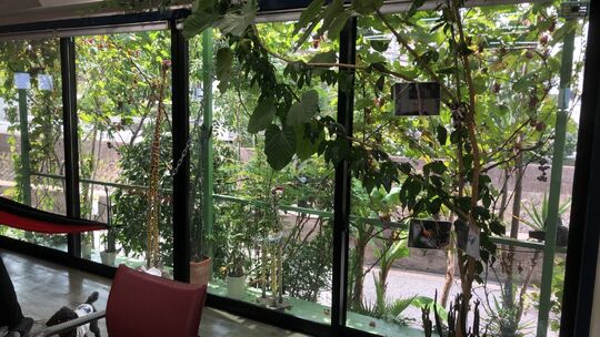 【青木】≪社会保険制度あり≫≪営業中レッスンOK≫≪正社員・パートから選べる！≫毎日高級弁当の支給あり！訪問美容も行っており、レッスン環境も充実！「kintaro-club（キンタロークラブ）」からアシスタント（美容師）の求人☆★☆