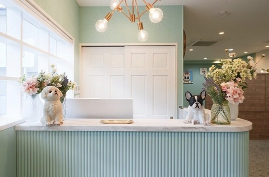 【淵野辺】 保障給あり  完全マンツーマン  独立支援制度あり 住宅地に佇む地域に愛されるヘアサロン★完全歩合制 フリー44％／指名55％還元 により平均月収35万円以上!!!土日休みなどプライベート重視もOK★「Anphi 淵野辺（アンフィフチノベ）」からスタイリスト（美容師）の求人★☆