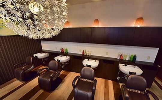 【ひばりが丘】≪月給18万円スタート≫≪社会保険完備≫営業時間が短く20時までに退勤出来るのでプライベートな時間もしっかり持てます！長く働けきやすい「さくらヘアー ひばりが丘店（サクラへアーヒバリガオカ）」からアシスタント（美容師）の求人★☆