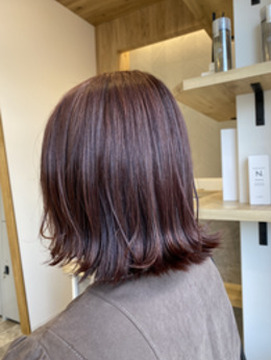 【箱崎駅】≪平均退勤19:00・営業中のレッスンOK・半個室サロン≫お子様連れのお客様もご来店！ヘアケアに力を入れ癒しの空間をご提供するヘアサロン「BIOLUS（ビオラス）」からアシスタント（美容師）の求人☆★