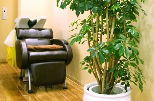 【三国】お給料17万円スタート★スタッフ同士仲が良いので一緒にキャリアアップ出来る環境！◇社会保険完備◇地域密着型のアットホームサロン“Ea（エア）”からアシスタント（美容師）の求人☆★☆