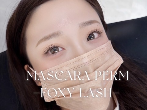 【大阪駅】≪エクステ専任orパーマ＋アイブロウ専任も相談OK≫≪産休育休取得実績あり≫≪原則残業なし≫≪休憩1時間保証≫既存スタッフは平均月給27～28万円！毎月コンスタントにご新規様が来店する集客力抜群のアイラッシュサロン「FOXY LASH（フォクシーラッシュ）」からアイリスト（まつげエクステ・まつげパーマ・アイブロウ）の求人☆★☆