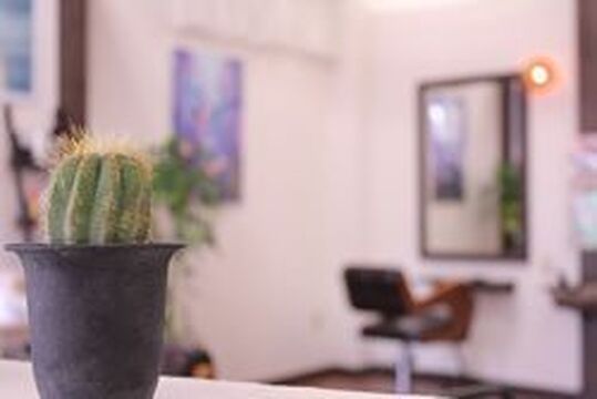 【久留米市】将来独立したい方、応援します！！地域密着型のアットホームサロン☆トータルビューティーと健康がコンセプトのHAIR MAKE Vollzie（ヘアー メイク ボルジー）からスタイリスト（美容師）の求人☆★☆