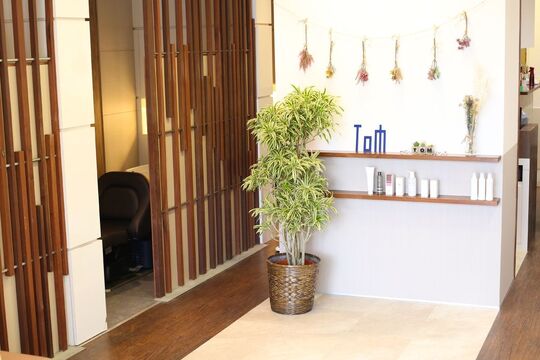 【古川橋】≪17時閉店≫≪全席半個室≫≪完全週休2日制と週休3日制の選択制≫≪社会保険完備≫客単価13000円ほどの高単価髪質改善サロン！成人式の着付けやセットに携われる！入客チャンスあり！安心して長く活躍できる環境で働きませんか ？「TOM HAIR DESIGN 古川橋店 (トムへアーデザインフルカワバシテン)」からスタイリスト（美容師）の求人☆★☆