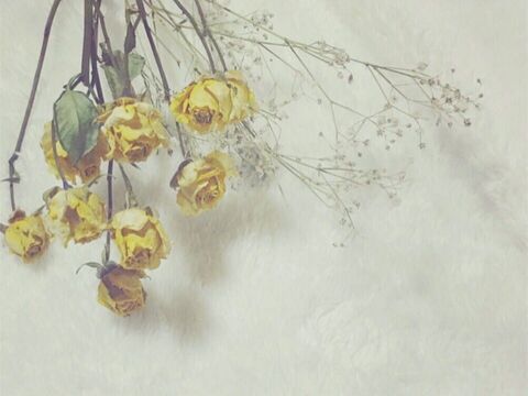 【藤井寺駅前】≪土日祝の勤務可能な方を募集≫≪パート・業務委託≫駅前すぐのドライヘッドスパ専門店！一から研修を受けて技術を学べます！「shuo（シュオ）」からスパニストの求人☆☆