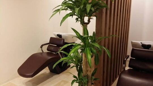 【宮浦】≪入客チャンスあり≫夜遅くまで残ることはないのでプライベートも充実！こだわりの薬剤を使い、お客様満足度の高い技術を提供しています！幅広い世代のお客様に愛されるヘアサロン「R-TROUPE 基山店（アールトループキヤマテン）」からスタイリスト（美容師）の求人☆★