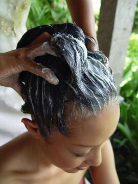 【JR草津駅】≪社会保険完備≫≪入客チャンスあり≫≪パートさんOK≫オープン以来人気が全く衰えないサロンです♪噂を聞きつけて新規のお客様もたくさん来られるので入客チャンスはありますよ♪「Plumeria（プルメリア）」からスタイリスト（美容師）の求人☆★☆