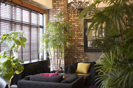 【心斎橋】≪社会保険完備・産休育休実績多数・充実の福利厚生≫充実の研修で未経験の方でも一流のセラピストなれる環境があります。高単価でひとり一人のお客様を大切に出来る環境がオススメ！「OLIVE SPA PANTHEON 心斎橋店（オリーブスパ パンテオンシンサイバシテン）」からセラピストの求人☆☆