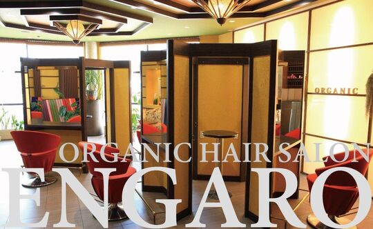 【福島】≪完全週休2日制＆社会保険完備≫営業時間中のレッスンも可能なので、時間を有効的に使って、早期デビューを目指しましょう！髪の毛や頭皮に優しい技術を提供する「ORGANIC SALON ENGARO（オーガニックサロンエンガロ）」からアシスタント（美容師）の求人☆★