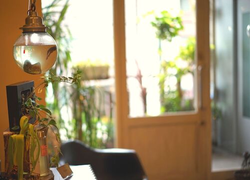 【二条】≪月平均8,9日休み≫≪社会保険完備≫入社から約4カ月間のアカデミー制度あり！営業時間内に集中してレッスン可能！京都市内5店舗、あなたの個性や意欲を尊重し、働きやすい環境を整えています◎ヘアメイク＆着付け入客も多数！トータルビューティで学べる「ULHA salon（ウルハサロン）」からアシスタント（美容師）の求人☆★