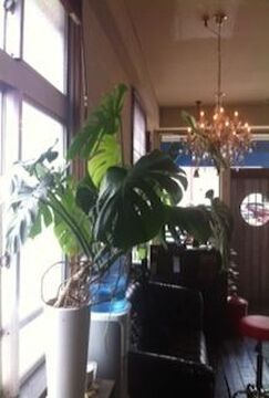 【高宮】≪パート・アルバイト≫週1回からの勤務でもOK♪時間の融通も聞いてくれるのでまずはご相談ください☆明るいスタッフさんが揃い、ネイル・マツエクなど幅広く提供している「Oneness+（ワンネスプラス）」からアイデザイナー（アイラッシュ・まつ毛エクステ）の求人☆☆