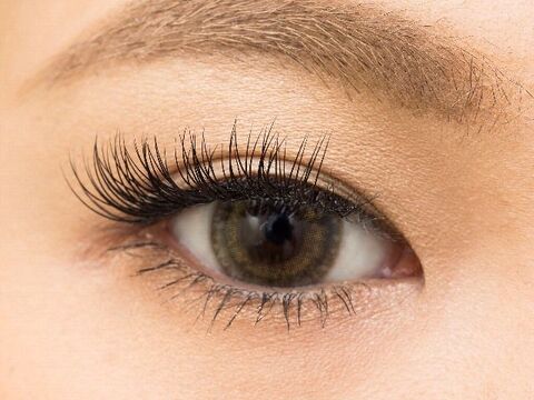 【京橋】経験者の募集★今までの経験をフルに活かせるアットホームサロン！人間関係◎ 頑張れば頑張っただけの還元「amore（アモーレ）」からアイリスト（アイデザイナー・まつ毛エクステ）の求人★★