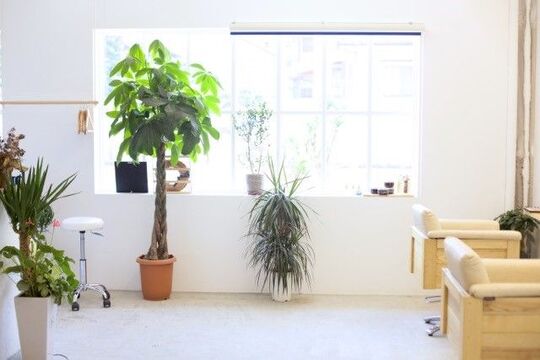 【姪浜】≪社会保険完備・月休8日・土日祝の希望休OK≫フォトスタジオで本格的な撮影などクリエイティブな活動も行っているヘアサロン「branch（ブランチ）」からスタイリスト（美容師）の求人☆★