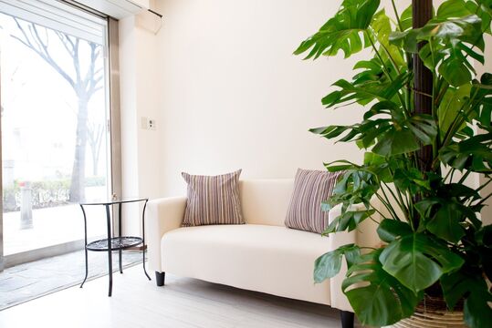 【南海堺駅】≪月7,8日休み≫お店と関わる全ての方に「hoi hoi(幸せ)」を感じていただけるように…。お客様の前に、スタッフあってのお店！と、長く安心して働ける環境作りに努めています★ハワイアンテイストの寛げる空間を提供するサロンhoi hoi（ホイホイ）からスタイリスト(美容師)の求人☆★☆