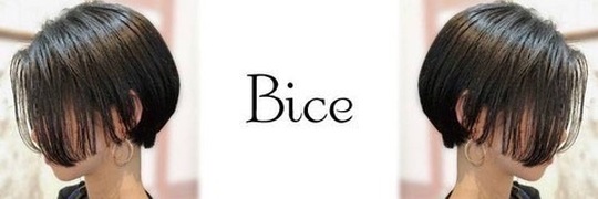 【京成小岩】≪正社員or業務委託≫≪20時までに退勤可能≫≪自由出勤制≫ライフスタイルに合わせた働き方ができる人気サロン！仕事もプライベートも充実できる環境です！「Bice 小岩店（ビーチェコイワテン）」からスタイリスト（美容師）の求人☆★