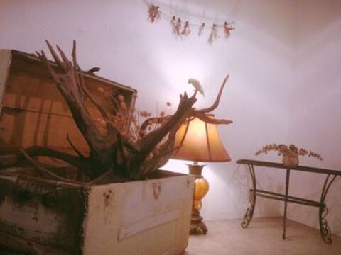 【夙川】全力で美容師をやりたい方必見！！レッスンに力を入れ技術・理論はもちろん撮影やヘアーショーなどクリエイティブな活動にも力を入れています☆沢山のこだわりがあるトータルビューティーヘアサロンLUAU夙川店（ルアウシュクガワテン）からアシスタント（美容師）の求人☆★