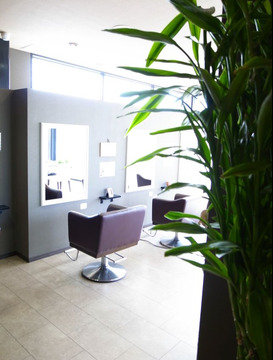 【鳳】上質な空間と確かな技術、ライフスタイルやファッションに合わせたスタイル提案が人気のヘアサロン☆小規模でアットホームな雰囲気でお客様をお出迎えしています！Piar（ピアル）からスタイリスト（美容師）の求人★☆