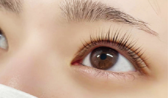 【三ノ宮】≪実働８時間制・指名料全額バック・社会保険完備≫最高の待遇を用意！髪型自由でおしゃれも楽しめる！どんどん稼ぎたい方もプライベート重視の方にもオススメのアイラッシュサロン「Favori 神戸三宮店（ファヴォリコウベサンノミヤテン）」からアイリスト（アイデザイナー・まつ毛エクステ）の求人☆☆