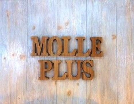 【都島】《時短社員も応相談》ブランクのある方も大歓迎★女性スタッフも安心して活躍できる仕組み作りが魅力の“molle +（モーレプラス）”からアシスタント（美容師）求人☆★☆