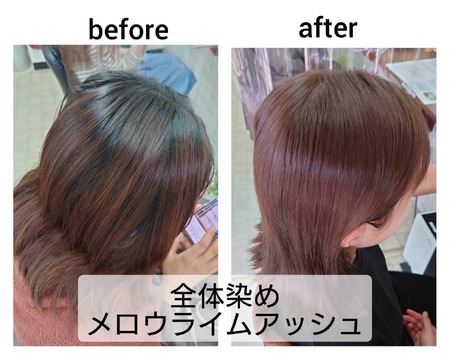 【二日市駅】≪日曜定休あり・オートシャンプー・完全週休二日制・社会保険完備・営業時間17:30まで≫オートシャンプーもあり手袋着用OKなので手荒れでお悩みの美容師さん必見！ブランクのある方も研修体制が整っているので安心して勤務できます！地域のお客様に愛されるカラー専門店「カラー専門店 ちょっとカラー（カラーセンモンテンチョットカラー）」からカラーリスト（美容師）の求人☆★