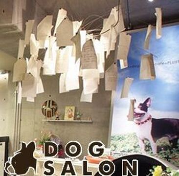 【箕面】ヘアとカフェとトリミングのサロン♪着付け・セットもできるようになりますよ！オーナーのサポートのもと、どんどん仕事をお任せするので成長も速い！お昼はまかない付き☆上質な癒しを提供する「Plustic（プラスティック）」から、アシスタント（美容師）の求人☆☆