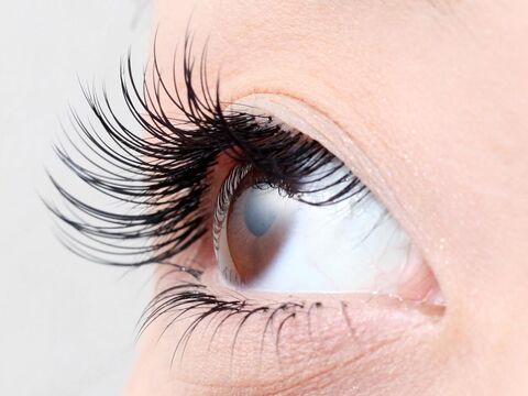 【大橋】≪WワークOK！！≫カウンセリングに力を入れお客様との関係を大切にしています♪働きやすい環境の隠れ家サロン「Ma Riche salon（マリシェサロン）」からアイリスト（アイデザイナー・まつ毛エクステ）の求人☆☆