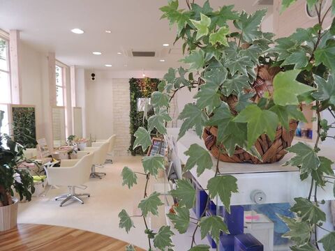 【有田】他店との合同レッスンアリ！！幅広い技術を身につけていきましょう♪お客様の頭皮・髪質を大切に考えている地域密着型のヘアサロン「hair resort art（ヘアーリゾートアート）」からアシスタント（美容師）の求人☆★