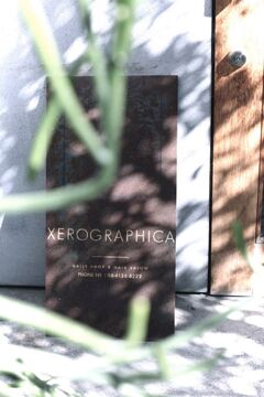 【中崎町】≪社会保険制度あり≫≪月8,9日休み≫≪営業中レッスン推奨≫≪2年以内でデビュー可能≫レッスンはオーナー自ら指導！個人店ならではのアットホームなサロン「XEROGRAPHICA（キセログラフィカ）」からアシスタント（美容師）の求人☆★☆