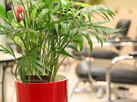 【布施】≪月給21万スタート≫≪早期デビュー可能！平均退社20時≫仕事もプライベートも両立できる環境です！レッスンも自分のペースで進めていけますよ！「HAIR CREW（ヘアークルー）」からアシスタント（美容師）の求人☆★☆