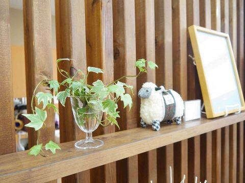 【新守谷】≪産休育休実績あり≫≪社会保険完備≫≪完全週休2日制≫働きやすさ重視！プライベートと両立しながら働けます！「Ray 新守谷店（レイシンモリヤテン）」からアシスタント（美容師）の求人★☆