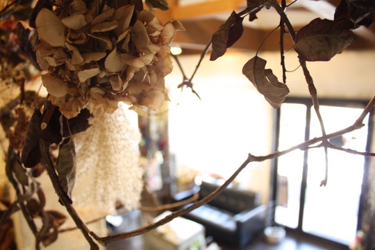 【東垂水】≪レッスンは営業中！≫≪社会保険完備≫≪有給休暇・年末年始休暇あり≫≪パートは週2日～OK≫正社員・パートアルバイトから働き方を選べる！融通が利くのでお子さんがいらっしゃる方でも働きやすさ抜群！営業中レッスンなので、残業なく早く帰れる！「hairsalon kamiya（ヘアーサロンカミヤ） 」からアシスタントの求人☆★