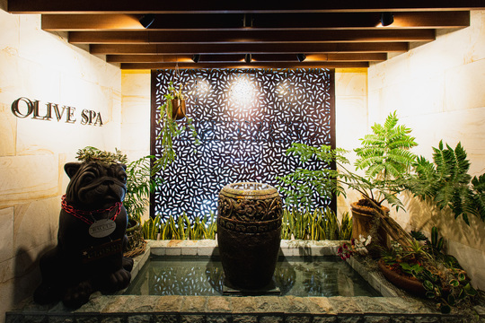 【銀座】≪社会保険完備・産休育休実績多数・充実の福利厚生≫未経験者大歓迎！未経験からプロのセラピストを目指せます。高単価でひとり一人のお客様を大切に働けます！「OLIVE SPA 銀座店（オリーブスパギンザテン）」からセラピストの求人☆☆