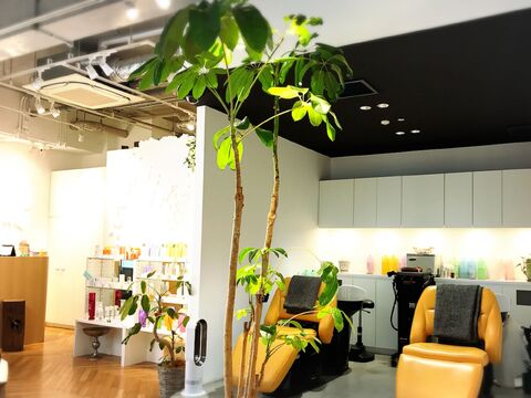 【本町】≪月給26万円以上≫≪月8日休み≫≪社会保険完備 ≫≪有給休暇あり≫≪GW休暇あり≫≪完全マンツーマン&高単価≫こだわりの薬剤・商材を揃え、1人のお客様にしっかり向き合った施術が可能！美容師として長く働いていける環境と待遇を用意しています！「morinoma（モリノマ）」からスタイリスト（美容師）の求人★☆