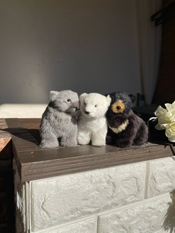 【福間駅前】≪月給26万5千円〜・週休2日・営業17時まで・土日休みの相談OK・レッスンは営業時間内≫交通費orガソリン代全額支給（駐車場完備）スタッフにとってもひだまりのようなサロンを目指しています。あなたのなりたいを叶えるヘアサロン「hair&make SOLA'tio（ヘアーアンドメイクソラティオ）」からスタイリスト（美容師）の求人☆★☆