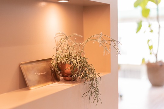 【赤坂駅】≪選べる働き方・社会保険完備・高単価・マンツーマン接客・スタイリストオンリーサロン≫一人ひとりのお客様に向き合うことができます！薬剤にもこだわり丁寧な接客と上質な空間が愛されるヘアサロン「Lei hair&relax（レイヘアーアンドリラックス）」からスタイリスト（美容師）の求人☆★