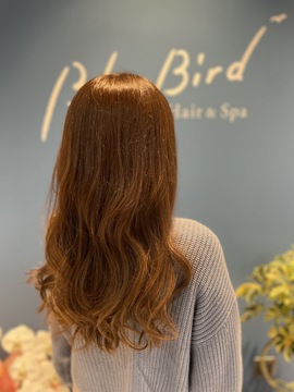 【岡山駅】≪実働8時間・社会保険完備・手荒れに優しい薬剤使用・マンツーマン接客・土日の希望休OK≫柔軟な働き方が可能です！！お客様へ向き合った施術が大人女性メインに愛される少人数制へアサロン「Blue Bird（ブルーバード）」からスタイリスト（美容師）の求人★☆