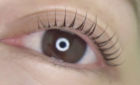 【栗東】≪実務経験が1年以上ある方の募集≫≪第3日曜定休日≫≪月8,9日休み≫≪社会保険完備≫まつ毛パーマやアイブロウメニューなど幅広いメニュー展開のサロン！出来ない技術や不安な技術も学べる環境あり！「COCO by BEAU eye lash 栗東（ココバイボウアイラッシュリットウ）」からアイリスト（アイデザイナー・まつげエクステ）の求人☆★☆