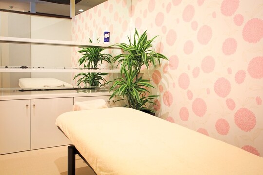 【烏丸】≪未経験OK≫≪完全週休二日制≫≪社会保険完備≫≪オールハンド痩身≫未経験からでもインド発の痩身マッサージ技術をしっかりと習得することができます！「Physical Beauty Lab LUNASIA（フィジカルビューティーラボルナシア）」からエステティシャンの求人☆☆