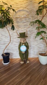 【泉田中】 月給22万円以上  月8日休み・有給休暇あり  社会保険完備  19時営業終了  引越し費用10万円or寮を選択可能 安心して長く働いていける充実の条件面を整えています！！「Hair Make Chura 泉田中店（ヘアーメイクチュライズミタカナテン）」からアシスタント（美容師・理容師）の求人☆★