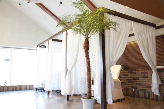 【西明石】≪月9日休み≫≪有給休暇あり≫≪社会保険完備≫≪20時までに退店可能≫長く働きやすい環境のサロン！入客チャンスも豊富で無理なく収入上げれます！髪質改善メニューが人気！「flare-想-（フレアイデア）」からスタイリスト（美容師）の求人☆★☆