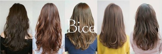 【京成小岩】≪正社員or業務委託≫≪20時までに退勤可能≫≪自由出勤制≫ライフスタイルに合わせた働き方ができる人気サロン！仕事もプライベートも充実できる環境です！「Bice 小岩店（ビーチェコイワテン）」からスタイリスト（美容師）の求人☆★