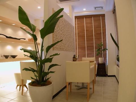 【大和八木】≪産休育休取得実績あり≫≪未経験・新卒生OK≫≪社会保険完備≫≪月9日休み≫美容に興味がある方大歓迎！外部講習・セミナーなど学べる環境が充実！安心して技術習得ができます！「ESCOS 奈良橿原店（エスコスナラカシハラテン）」からエステティシャンの求人☆☆