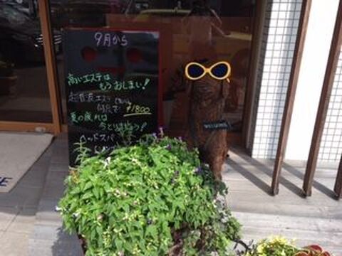 【JR西宮】≪社会保険完備♪≫≪デビューまで最短1年半☆≫オーナーさんや先輩スタイリストさんから高い技術を学ぶ事が可能♪地域密着型アットホームサロン“ALIVE hair（アライブ ヘアー）”からアシスタント（美容師）の求人☆☆