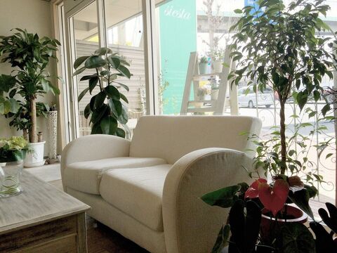 【堺東】≪月給18万円スタート≫≪月7,8日休み≫≪営業中レッスンOK≫≪平均退社時間19時≫朝レッスンなので夜は遅くなりません♪プライベートとメリハリつけて働けますよ☆「siesta（シエスタ）」からアシスタント（美容師）の求人☆☆