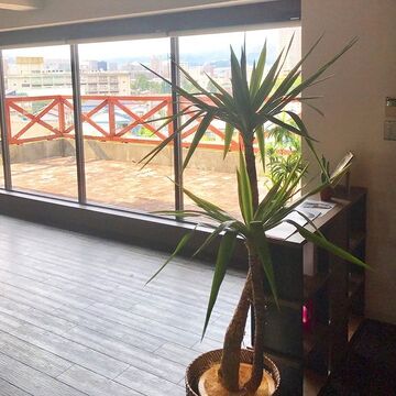 【逆瀬川】≪日曜定休日≫≪完全週休二日制≫≪社会保険完備≫お客さん一人一人に丁寧に接客出来る！美容室併設の「DOUBLE（ダブル）」からアイリスト（アイデザイナー・まつげエクステ☆★☆