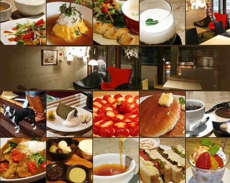 【箕面】カフェとドッグサロンも併設♪着付け・セットの利用も多く、幅広い経験を積めます！お昼はまかない付き☆上質な癒しを提供するサロン「Plustic（プラスティック）」から、スタイリスト（美容師）の求人☆☆